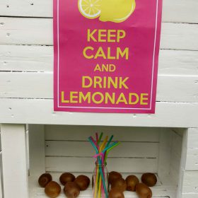 Palettery - Lemonade Bar 8